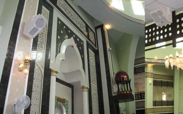 Electro Voice EVI Vari Intense Speaker